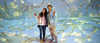 Van Gogh announced as inaugural experience at multi-sensory