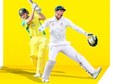 International Cricket