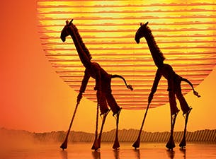 Disney's The Lion King (UK) production image - gallery