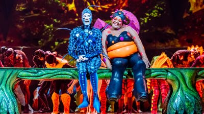 Experiencia Cirque Du Soleil