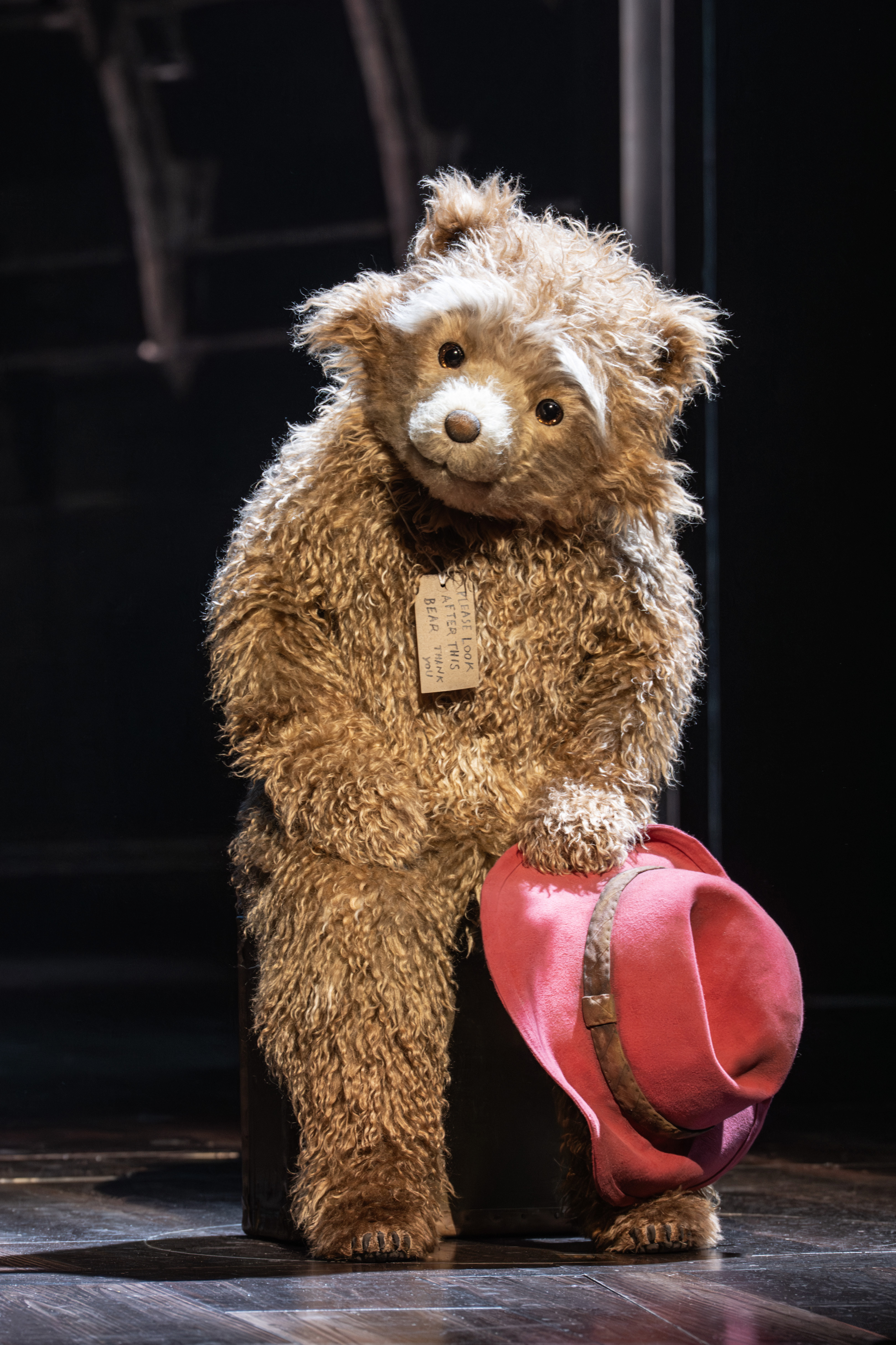 Paddington The Musical production image - gallery