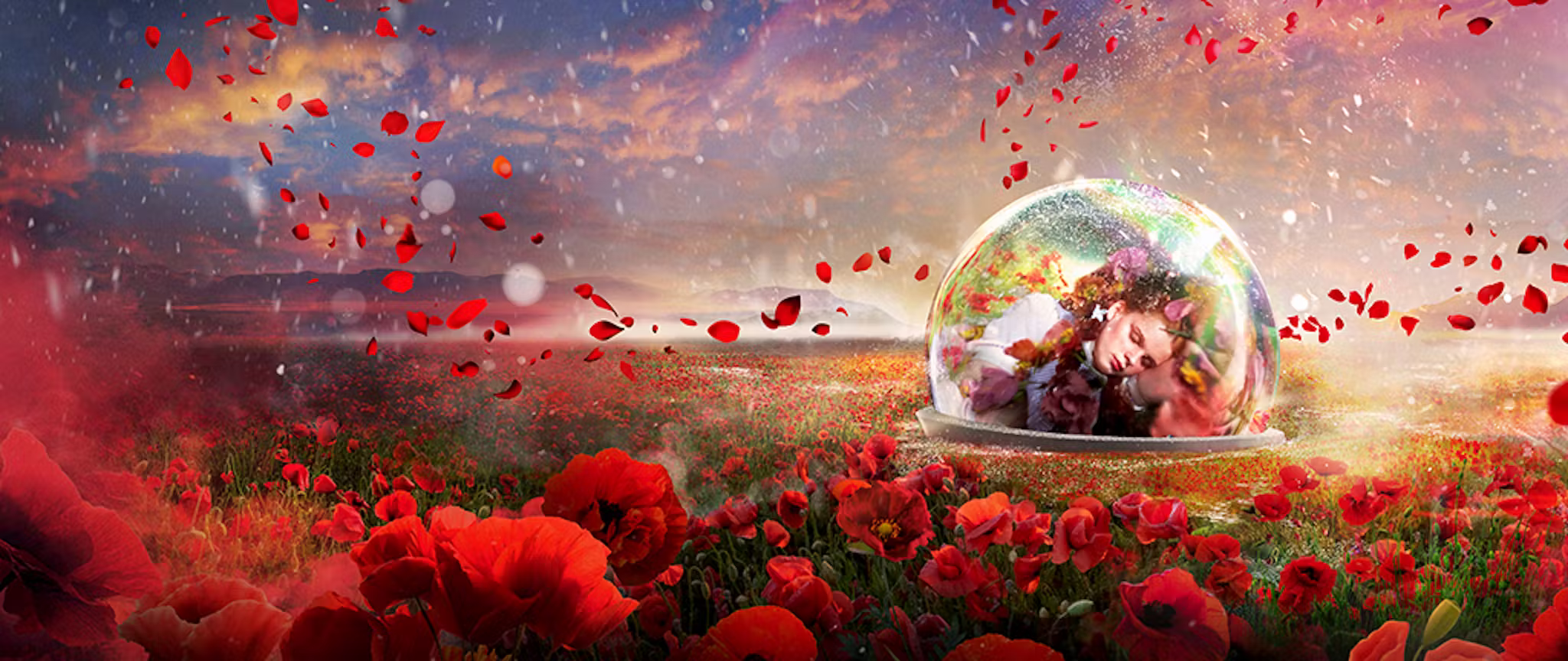 The Wizard of Oz at Sphere Tickets | Event Dates & Schedule | Ticketmaster