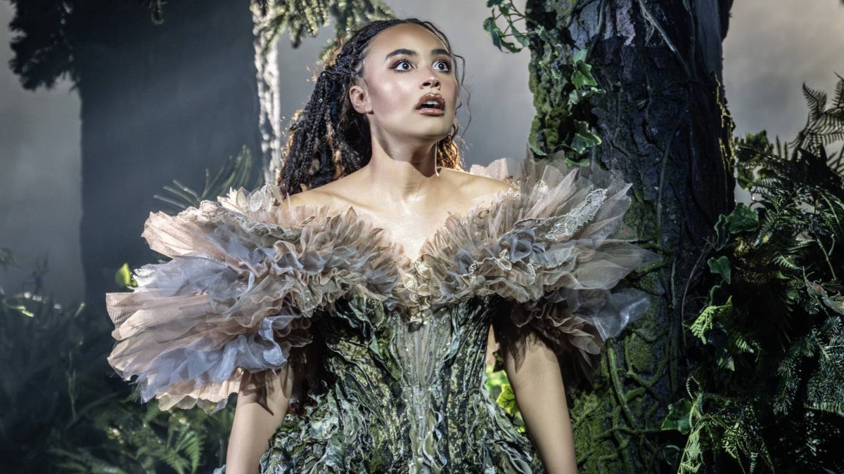 Into the Woods production image - gallery