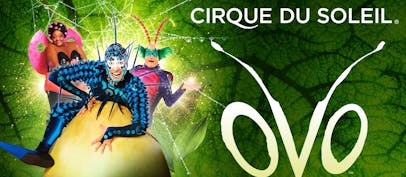 Cirque du Soleil: OVO arriverà in Italia nel 2023
