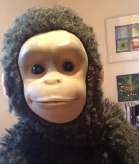 Nina Conti Tickets 202122 Tour Dates